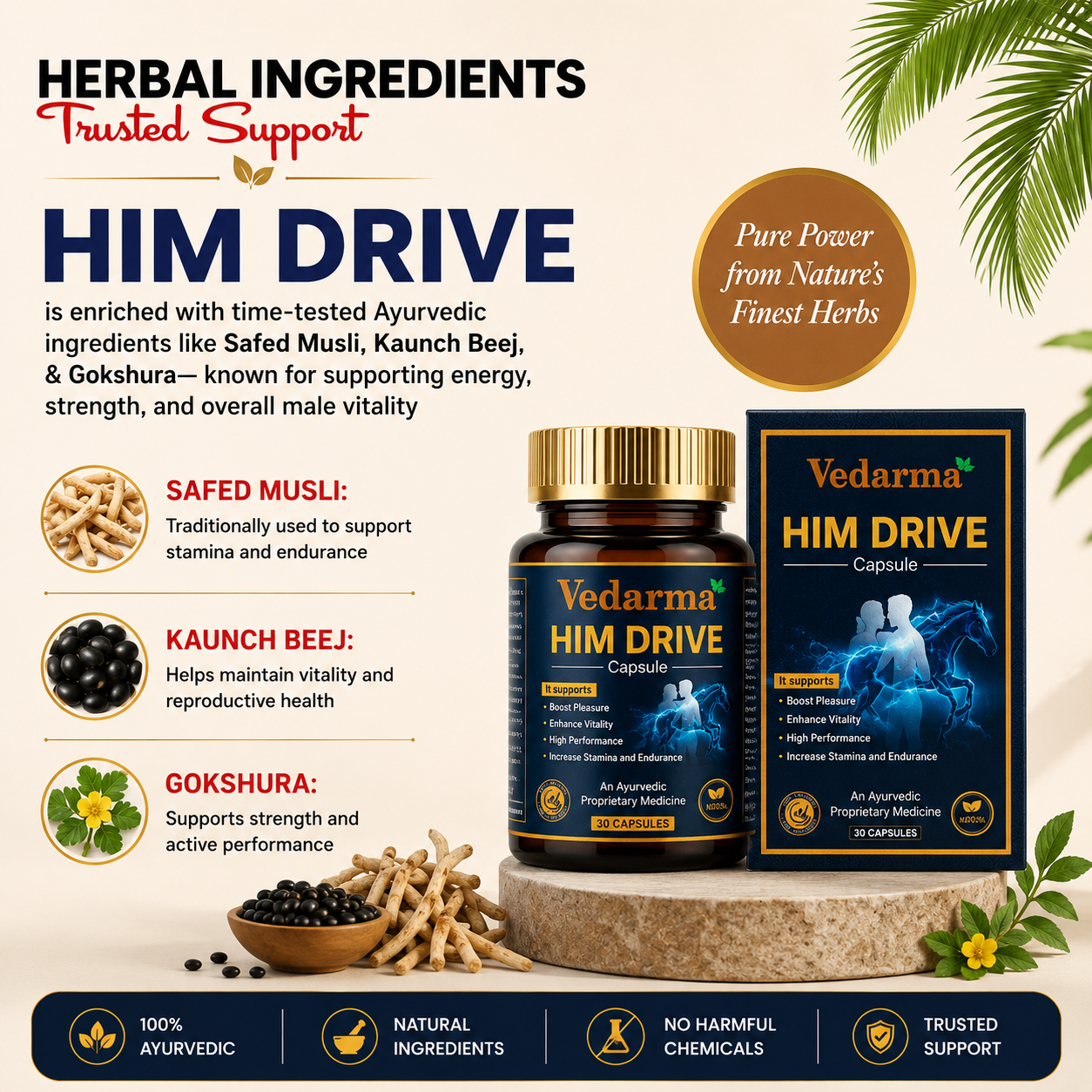 Him Drive - Ayurvedic Men Wellness & Vitality Supplement
